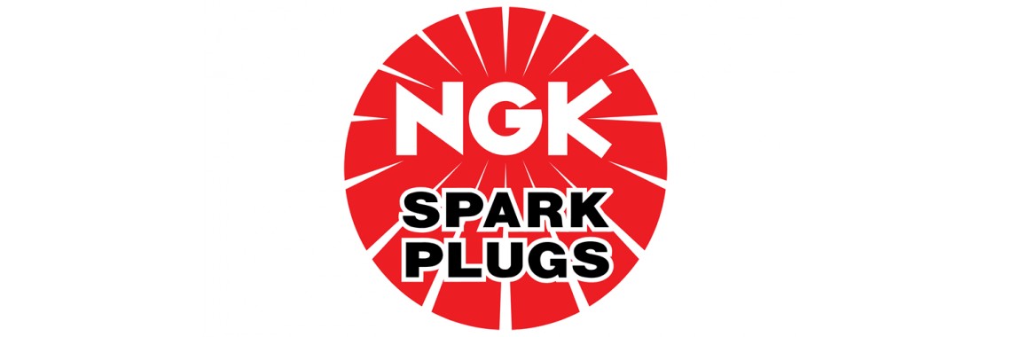 NGK Spark Plugs